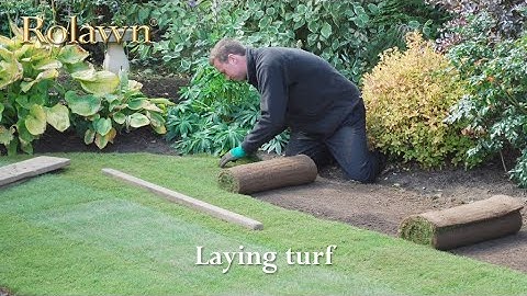 How To Lay Turf [Expert Guide]
