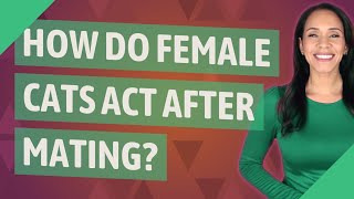 How do female cats act after mating