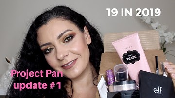 PROJECT PAN FINISH 19 IN 2019 UPDATE #1 | Rolling PP