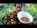 Catch snail at rice field for food-cooking snail with chili sauce eating delicious-Cooking in forest