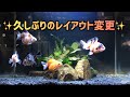 無料ダウンロード 金魚 砂利 235482-金魚 砂利 掃除