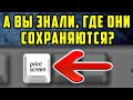 Вся ПРАВДА о том, Куда сохраняются скриншоты на виндовс 10