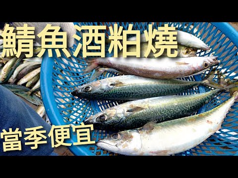 鯖魚酒粕燒，適合夜深人靜配點小酒。| 吃膩了死硬薄鹽鯖魚片？現流鯖魚好吃的令人驚訝。宜蘭石城漁港的光榮定置漁場購入。