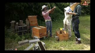 Was MINI April 2023 - Bee Diversity & Cultivating Engaged Keepers