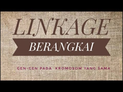 Video: Analisis Modular Terhadap Mikroglia Gen, Pandangan Ke Fenotip Yang Berusia