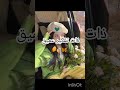 أنا بأختصار أنا بأختصار
