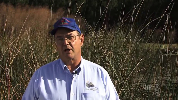 Why We Manage Aquatic Invasive Plants