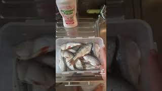 Как сушить рыбу в дигридаторе сушилке для овощей