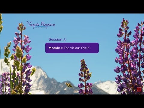 SESSION 3: Module 4 - The Vicious Cycle, How Chronic Conditions Perpetuate | Gupta Program |