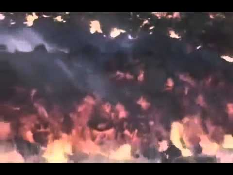 Виды Вулканов