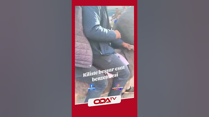 Suriye'deki gelişmelerin ardından Kilis'te eşeğin üzerinde Esad fotoğrafı ile  sevinç gösterisi!
