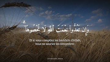 سورة إبراهيم ؛ ٣٢-٣٤ ؛ أحمد بن طالب حميد