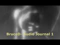 Bruce D- Audio journal 1   Prod:  Leon Vynehall - 'Envelopes (Chapter VI)'