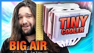 TINY Beast: Thermalright Peerless Assassin Mini Cooler Review & Benchmarks