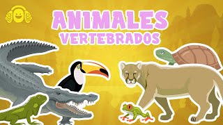 ANIMALES VERTEBRADOS para niños. Mamíferos, peces, reptiles.Vídeo educativo para niños.