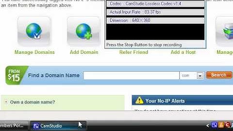 Setting up a No-Ip domain.
