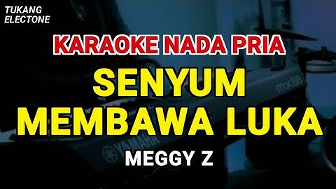 SENYUM MEMBAWA LUKA - KARAOKE NADA PRIA [ MEGGY Z ]