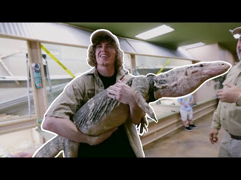 Picking Up Girls with Komodo Dragon!