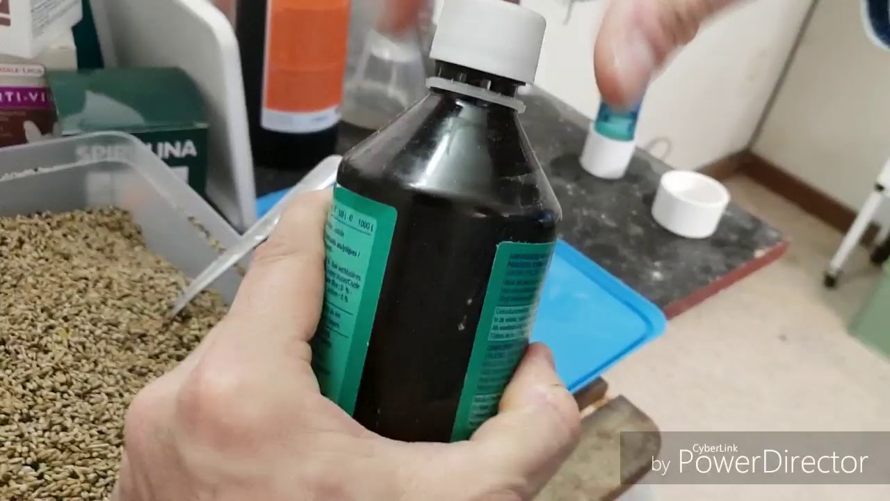 Mélange graines pour chardoneret et suivis d elevages  2019