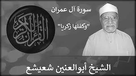 سورة آل عمران الشيخ أبو العنين شعيشع "وكفلها زكريا"