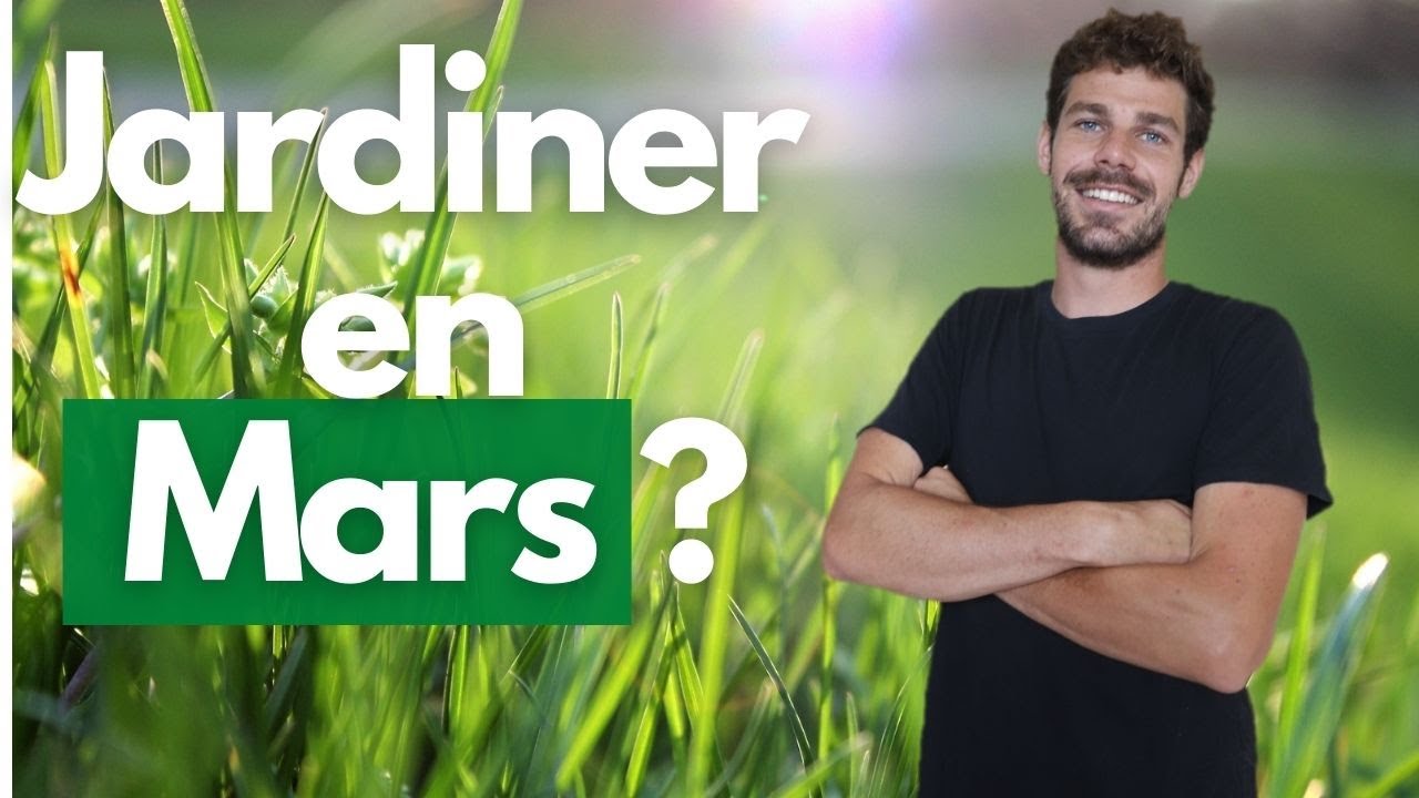 Que faire dans le jardin en mars ? ( mes conseils )