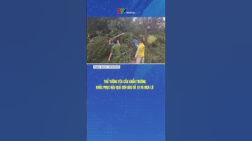 Thủ tướng Chính phủ yêu cầu khẩn trương khắc phục hậu quả bão số 10 và mưa lũ