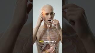 Swallow Painkillers for headache? This Is What Actually Happens…#shorts #humanbody #science — video thumbnail