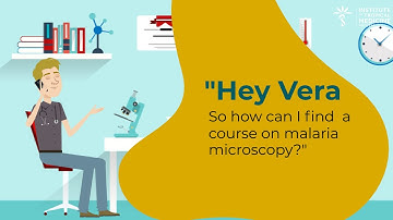 How does Paul use ITM LabHub