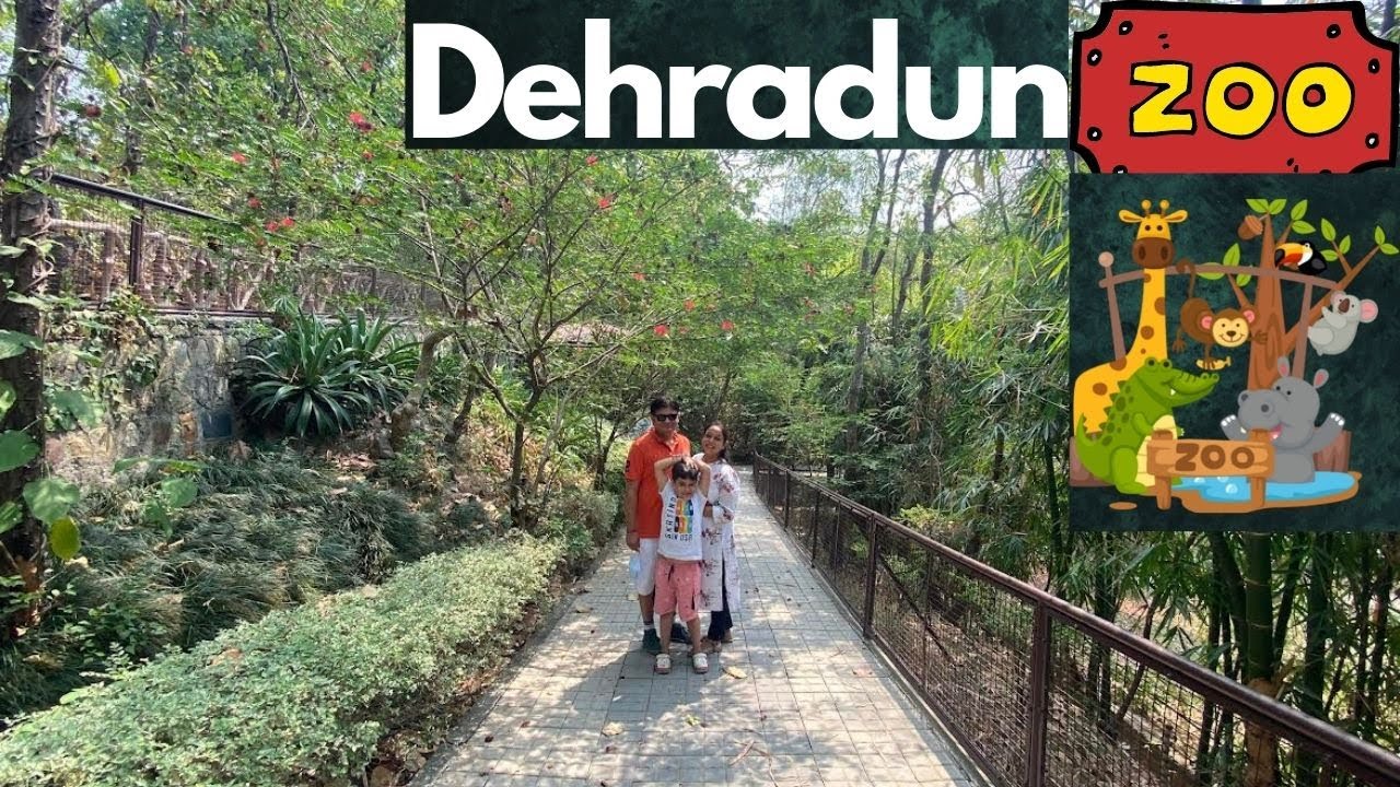 Dehradun Zoo देहरादून जू YouTube