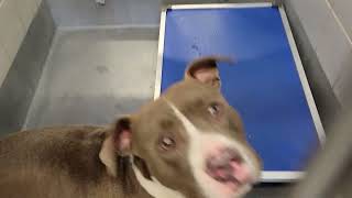 acs A667122