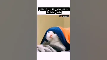 ضحك ميمز اوتاكو للابد قطط 