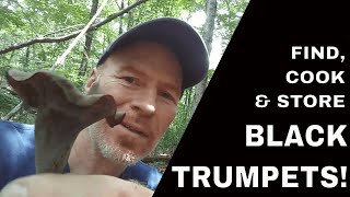 How to Identify, Cook, and Store Black Trumpet Mushrooms  – Karl’s Food Forest Garden: S01E107