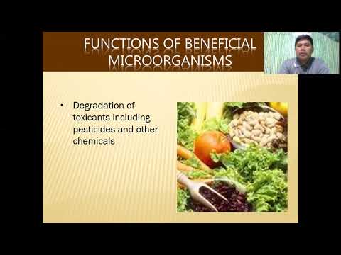 Part 1 Introduction to EM Technology