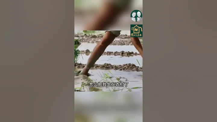 北大教授：你窮不是因為不努力！【老北京茶館】 - 天天要聞