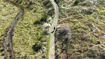 4K HDR - Virtual Walks by Aerial Drone #6 - Waimakariri Walkway and Spencer Park Beach - Canterbury