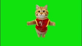 Cat Dancing On Driftveil City Meme Green Screen Chroma Key Template #catmemes