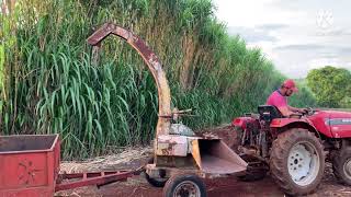 Testando picadeira Cremasco ETCR 4800 com o Agrale 4230