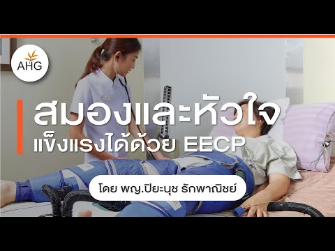 สมองและหัวใจ แข็งแรงได้ด้วย EECP (เครื่องกระตุ้นการทำงานของหัวใจ) โดย แพทย์หญิง ปิยะนุช รักพาณิชย์