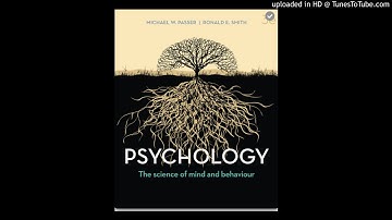 Weeks 2-3. Part 3. Cognition and human performance. Sensation and Perception. copy