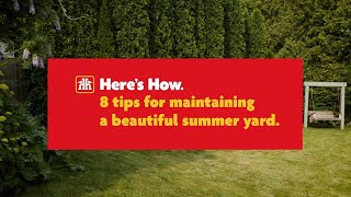 8 Tips for Maintaining a Beautiful Summer Yard, Here's How