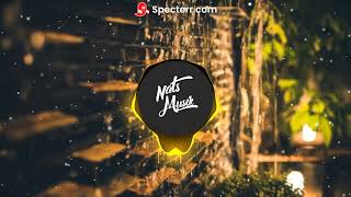 The Turtles - Happy Together Natsmudk Remix