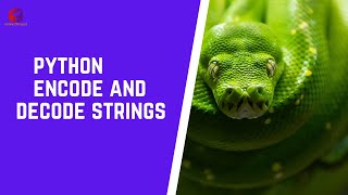 Python Encoding and Decoding Strings