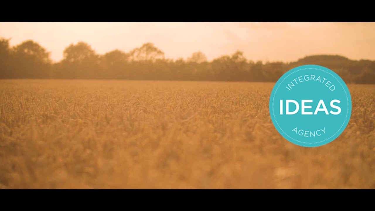 Integrated Ideas Agency Video Production Showreel