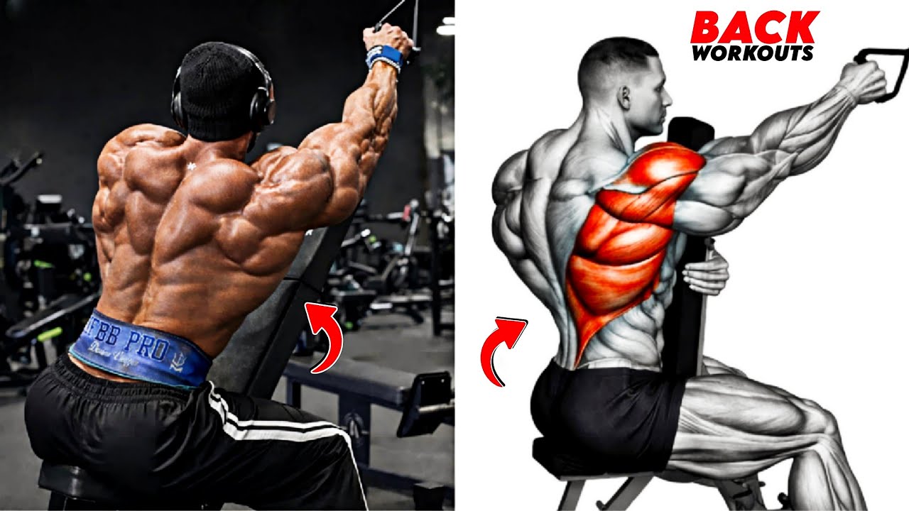 8 High-Intensity Back Exercises for a Thick, Wide & Powerful Back 💪🔥 ...