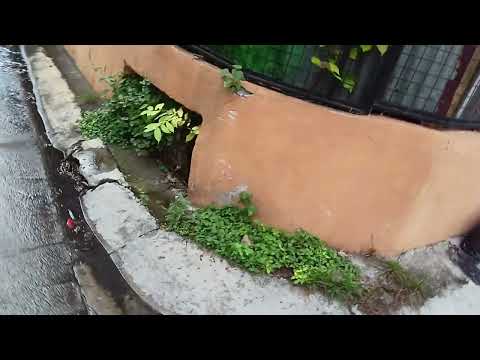 Kairus Had A Walking In A Different Location In Calamba!