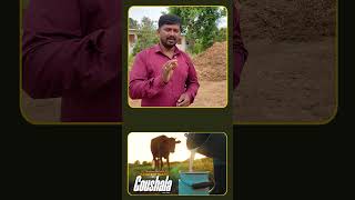 Soil Fertility Secrets Using Desi Cow Dung & Gouamruth | Rashtrotthana Goushala | Natural Farming