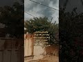 طحت من عيني جام ببيت طرشان شعر شعر العراق اكسبلور اشتراك تعليق السعودية المغرب الاردن طحت من عيني جام ببيت طرشان شعر شعر العراق اكسبلور اشتراك تعليق السعودية المغرب الاردن