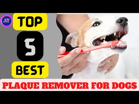 BEST PLAQUE REMOVER FOR DOGS 2024