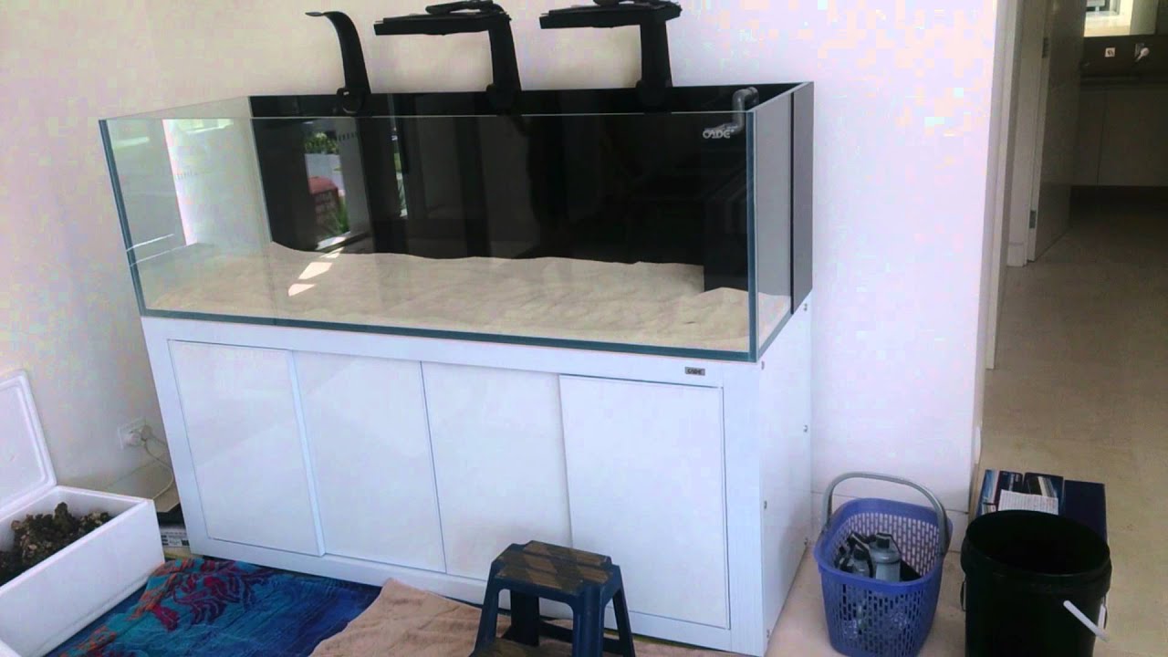 Starting to Aquascape this 6ft Cade reef aquarium - YouTube