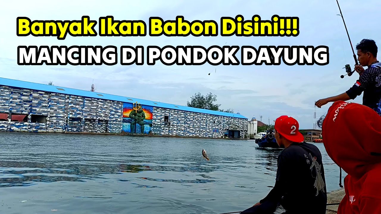 Mancing di Pondok Dayung, banyak strikenya disini, ikannya Babon-babon, Buruan di Gas Ken! 